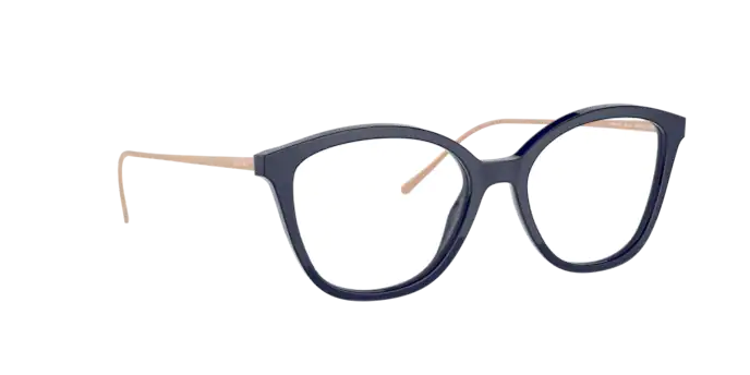 Prada Conceptual Eyeglasses PR 11VV VY71O1