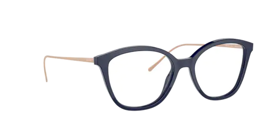 Prada Conceptual Eyeglasses PR 11VV VY71O1