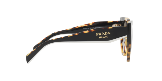Prada Sunglasses PR 14WS 01M0A7