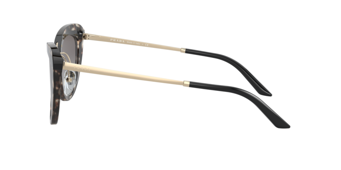 Prada Sunglasses PR 25XS 3980A7