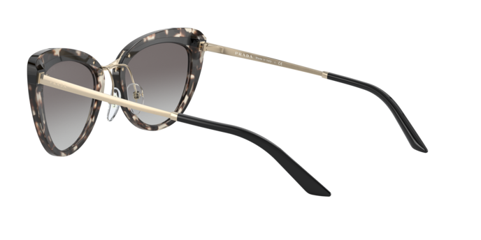 Prada Sunglasses PR 25XS 3980A7