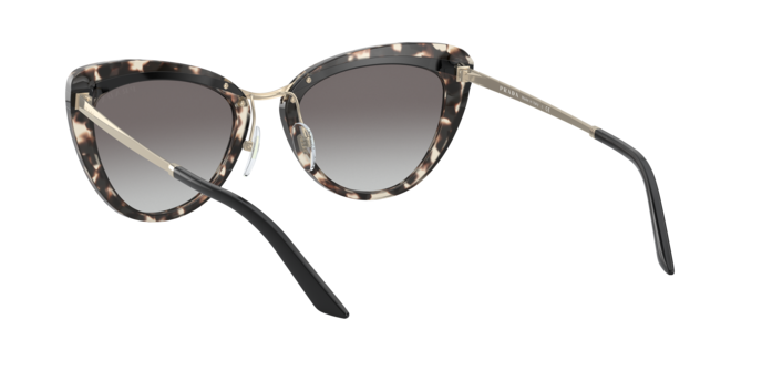 Prada Sunglasses PR 25XS 3980A7