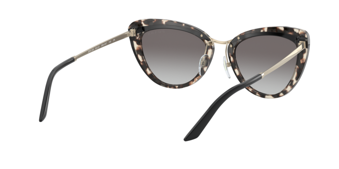 Prada Sunglasses PR 25XS 3980A7