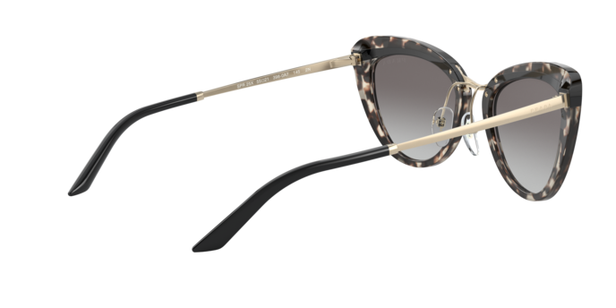 Prada Sunglasses PR 25XS 3980A7
