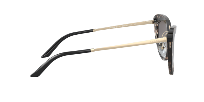 Prada Sunglasses PR 25XS 3980A7