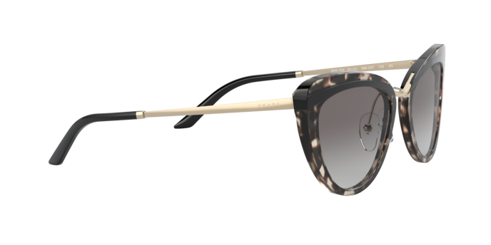 Prada Sunglasses PR 25XS 3980A7