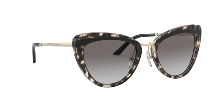 Prada Sunglasses PR 25XS 3980A7