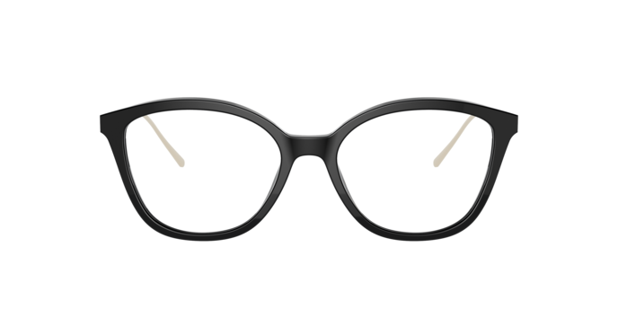 Prada Conceptual Eyeglasses PR 11VV 1AB1O1