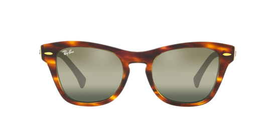 Ray-Ban Sunglasses RB0707SM 954/G4