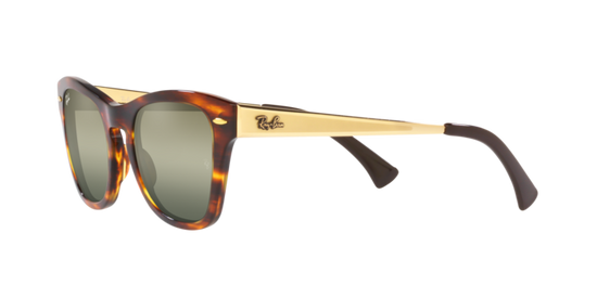 Ray-Ban Sunglasses RB0707SM 954/G4