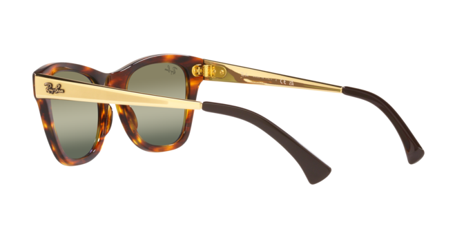 Ray-Ban Sunglasses RB0707SM 954/G4