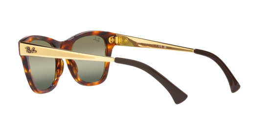 Ray-Ban Sunglasses RB0707SM 954/G4