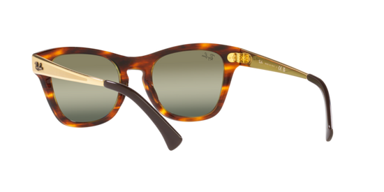 Ray-Ban Sunglasses RB0707SM 954/G4