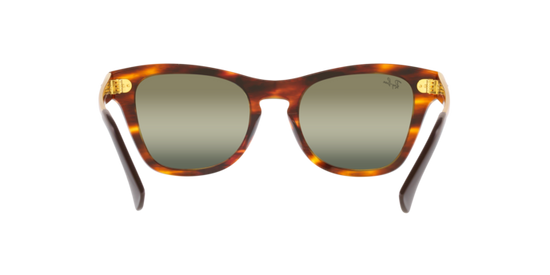 Ray-Ban Sunglasses RB0707SM 954/G4