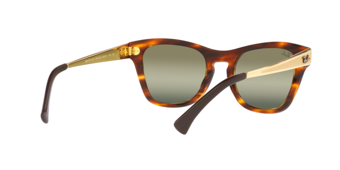 Ray-Ban Sunglasses RB0707SM 954/G4