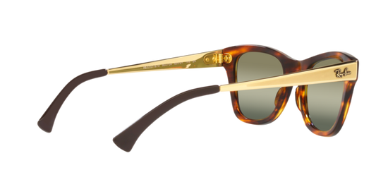 Ray-Ban Sunglasses RB0707SM 954/G4