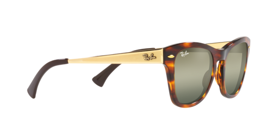 Ray-Ban Sunglasses RB0707SM 954/G4