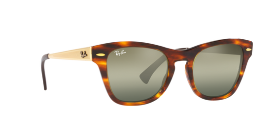 Ray-Ban Sunglasses RB0707SM 954/G4