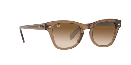 Ray-Ban Sunglasses RB0707S 664051