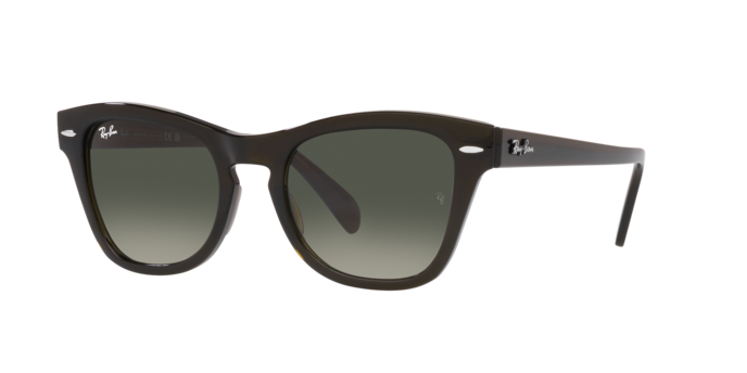 Ray-Ban Sunglasses RB0707S 664271