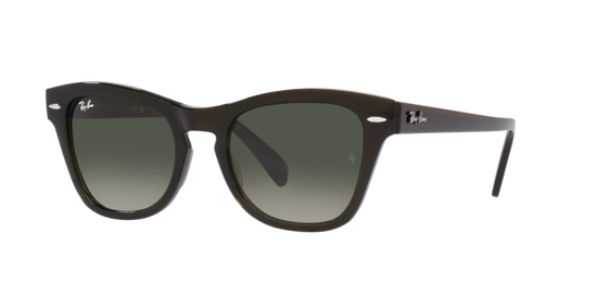 Ray-Ban Sunglasses RB0707S 664271