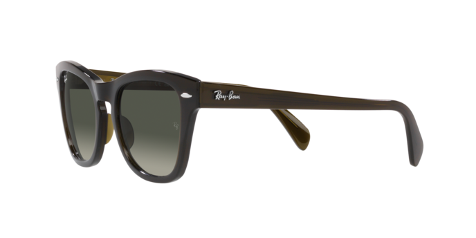 Ray-Ban Sunglasses RB0707S 664271