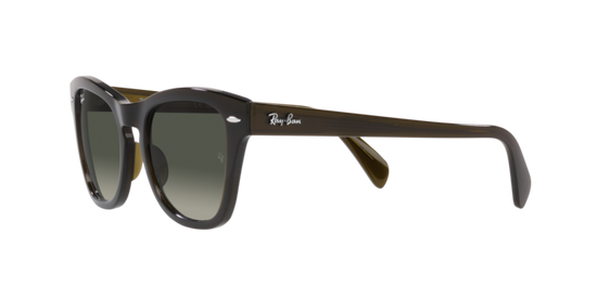 Ray-Ban Sunglasses RB0707S 664271