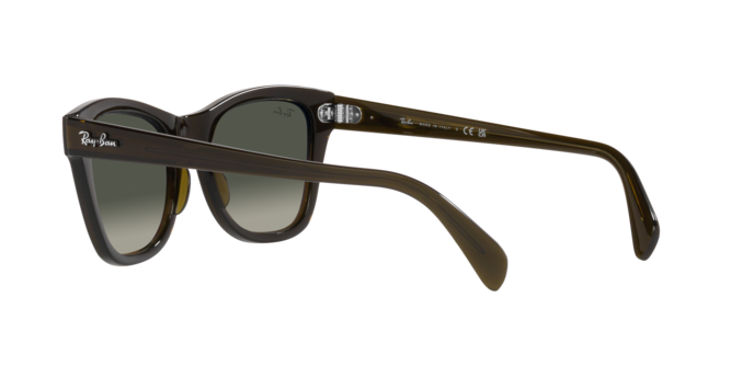 Ray-Ban Sunglasses RB0707S 664271