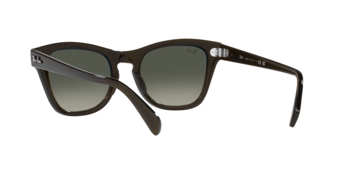 Ray-Ban Sunglasses RB0707S 664271