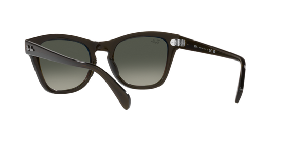 Ray-Ban Sunglasses RB0707S 664271