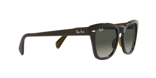 Ray-Ban Sunglasses RB0707S 664271