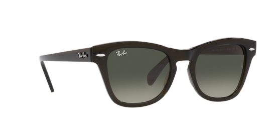 Ray-Ban Sunglasses RB0707S 664271