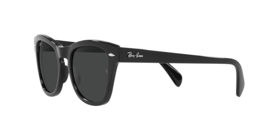 Ray-Ban Sunglasses RB0707S 901/48