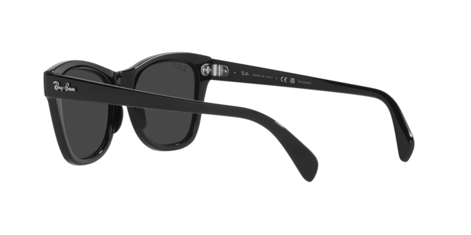 Ray-Ban Sunglasses RB0707S 901/48