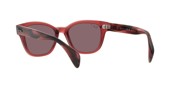 Ray-Ban Sunglasses RB0880S 6639AF