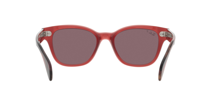 Ray-Ban Sunglasses RB0880S 6639AF