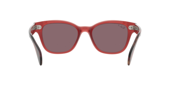 Ray-Ban Sunglasses RB0880S 6639AF