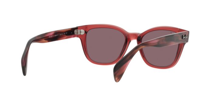 Ray-Ban Sunglasses RB0880S 6639AF