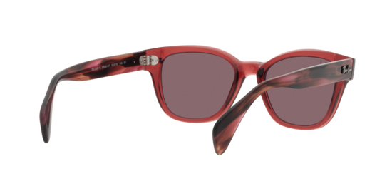 Ray-Ban Sunglasses RB0880S 6639AF