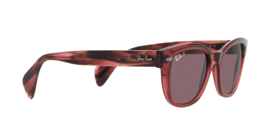 Ray-Ban Sunglasses RB0880S 6639AF