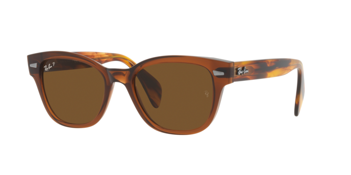 Ray-Ban Sunglasses RB0880S 664057