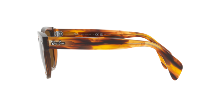 Ray-Ban Sunglasses RB0880S 664057