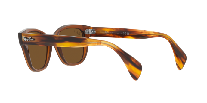 Ray-Ban Sunglasses RB0880S 664057
