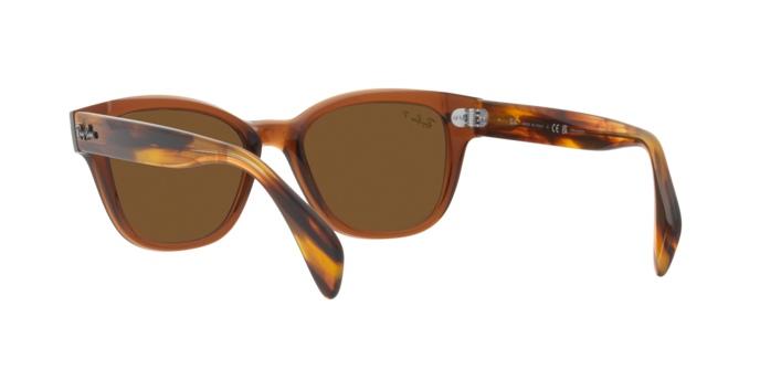 Ray-Ban Sunglasses RB0880S 664057