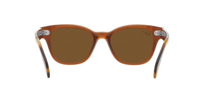 Ray-Ban Sunglasses RB0880S 664057