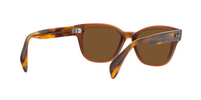 Ray-Ban Sunglasses RB0880S 664057