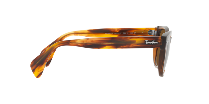 Ray-Ban Sunglasses RB0880S 664057