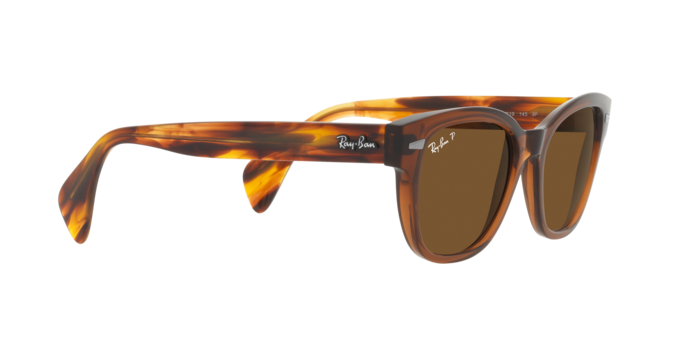 Ray-Ban Sunglasses RB0880S 664057