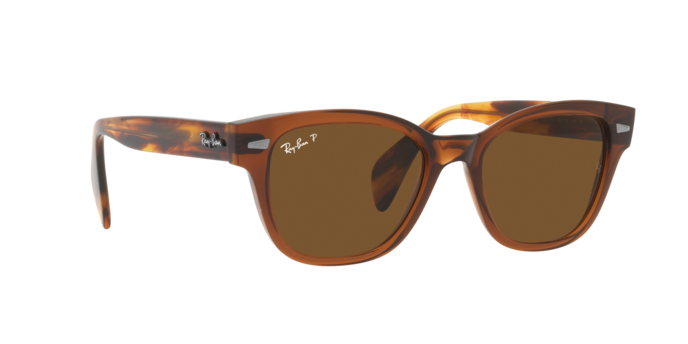 Ray-Ban Sunglasses RB0880S 664057