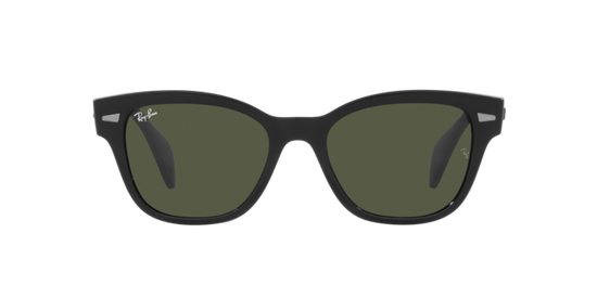 Ray-Ban Sunglasses RB0880S 901/31